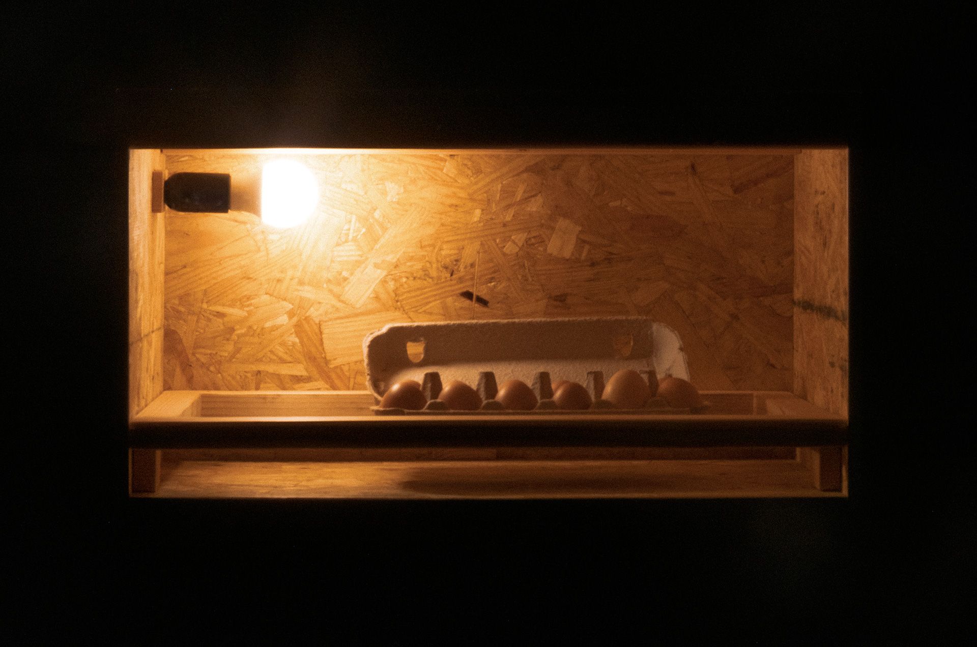 Close up of suspended incubator