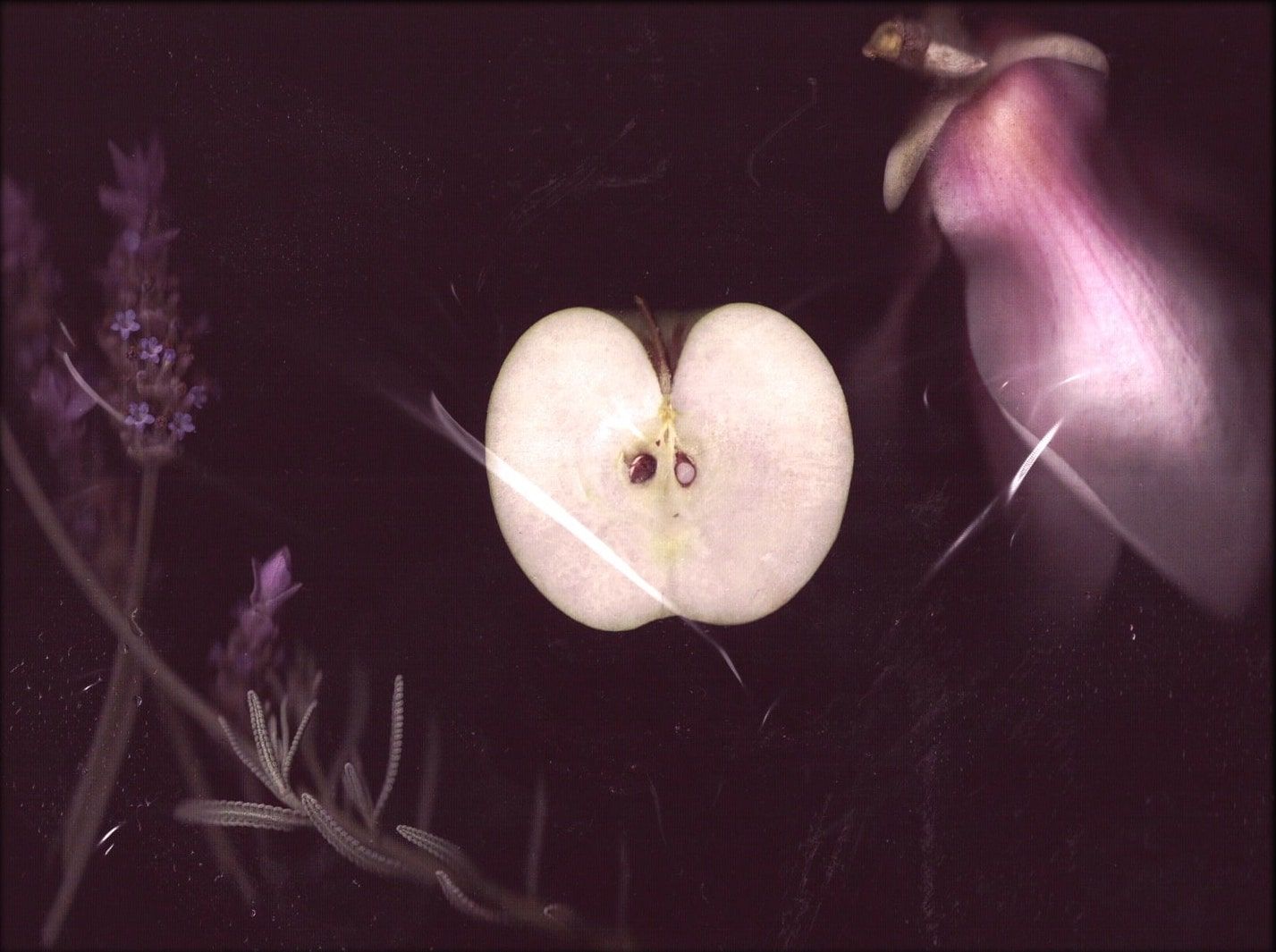 A cut apple rests between flowers, arranged over a crumpled plastic film